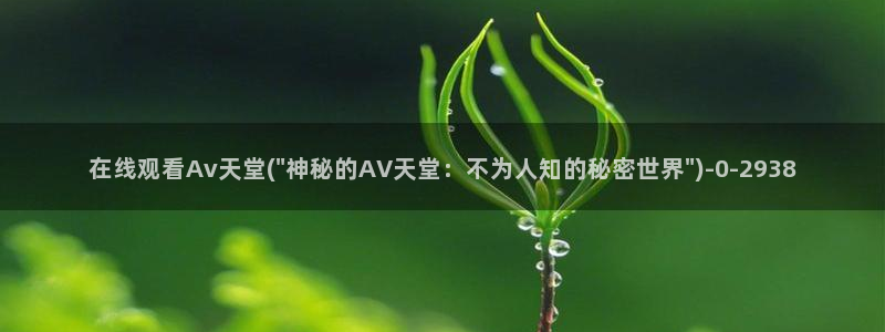 av视频免费播放