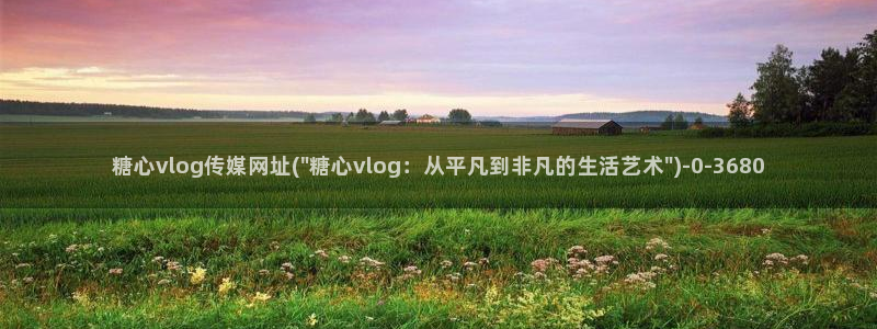糖心vlog深夜释放自己vlog