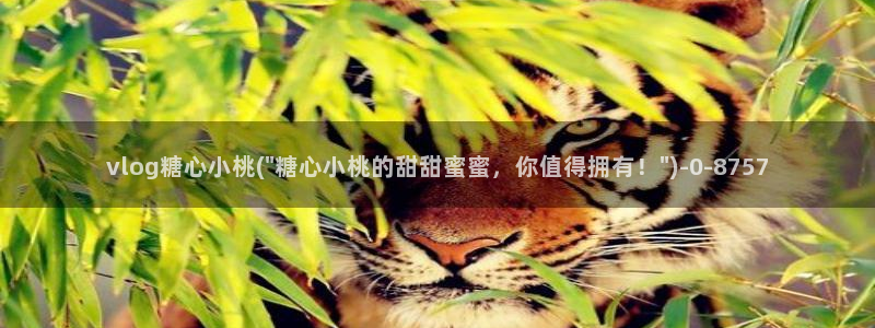 糖心vlog怎么获得免费的vip