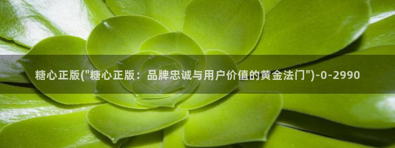 91制片厂糖心vlog玩偶