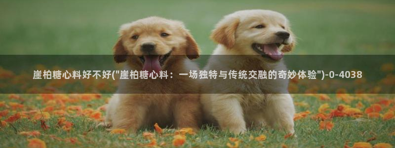 免费版糖心vlog