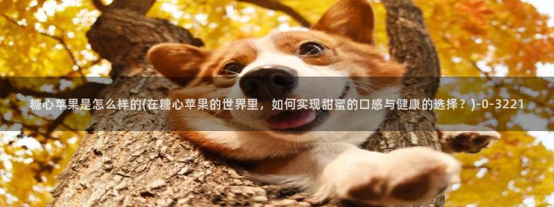 糖心vlog是正规的么