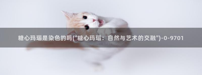 糖心vlog账号