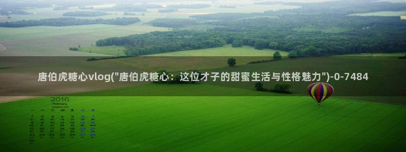 糖心vlog观看