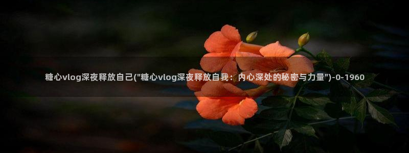 糖果心vlog怎么下载
